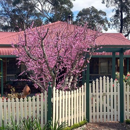 Blue Gum Cottage On Bay Bensville Экстерьер фото