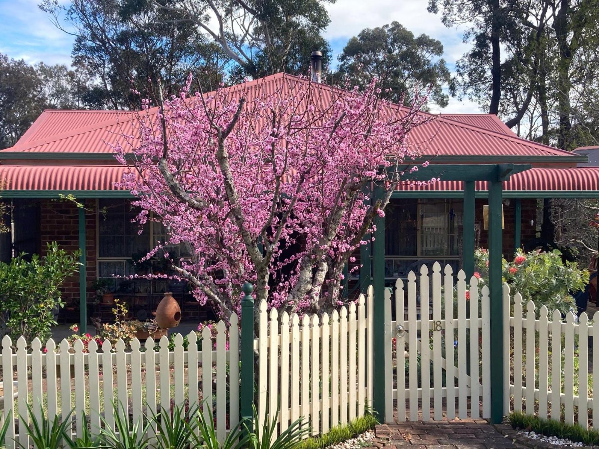 Blue Gum Cottage On Bay Bensville Экстерьер фото